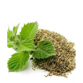 MIĘTA